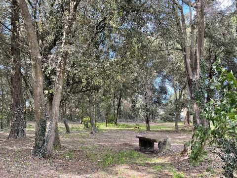Vente de terrain L'Épine 85