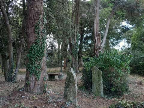 Vente de terrain L'Épine 85
