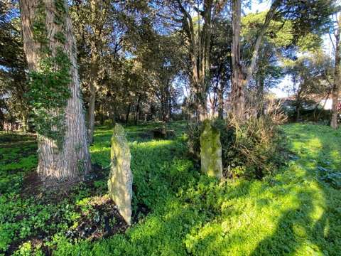 Vente de terrain L'Épine 85