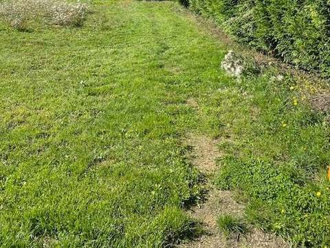 Vente de terrain L'Hermenault 85