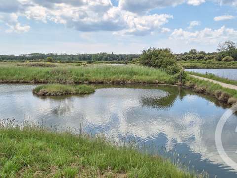 Vente de terrain L'Île-d'Olonne 85