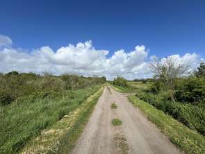 Vente Terrain 2300 m&sup2;L'Île-d'Olonne