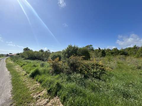 Vente de terrain L'Île-d'Olonne 85
