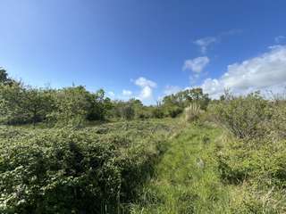 Vente de terrain