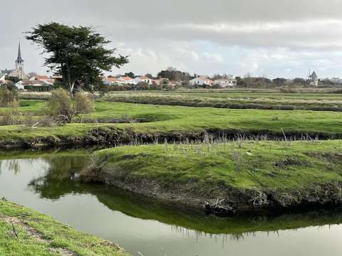 Vente de terrain L'Île-d'Olonne 85