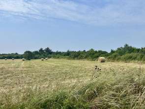 Vente Terrain 1900 m&sup2;L'Île-d'Olonne