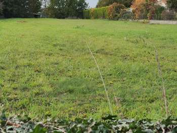 Vente de terrain
