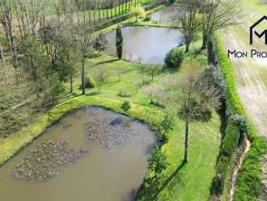 Vente Terrain 20002 m&sup2;La Baconnière