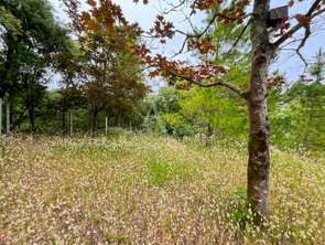 Vente Terrain 379 m&sup2;La Barre-de-Monts