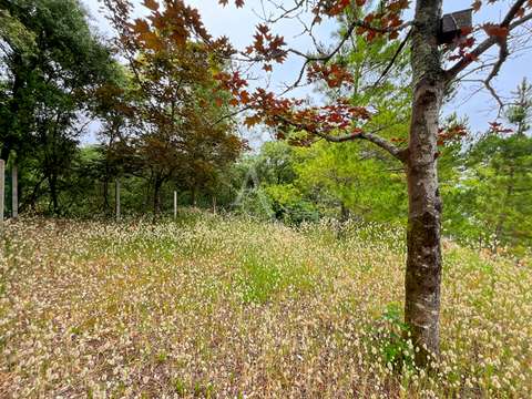 Vente de terrain La Barre-de-Monts 85