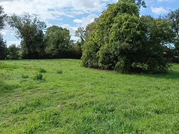 Vente de terrain La Barre-de-Monts 85