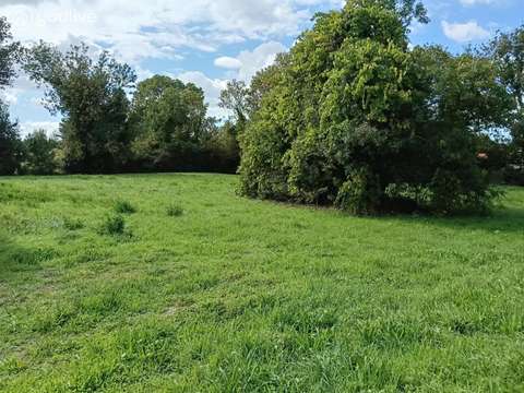 Vente de terrain La Barre-de-Monts 85