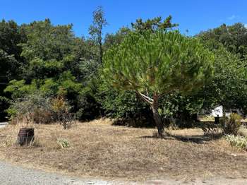 Vente Terrain 650 m&sup2;La Barre-de-Monts