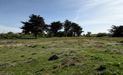 Photo Vente de terrain La Baule-Escoublac La Baule Les Pins