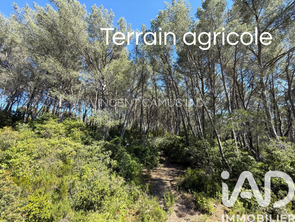 Vente Terrain 7325 m&sup2;La Cadière-d'Azur