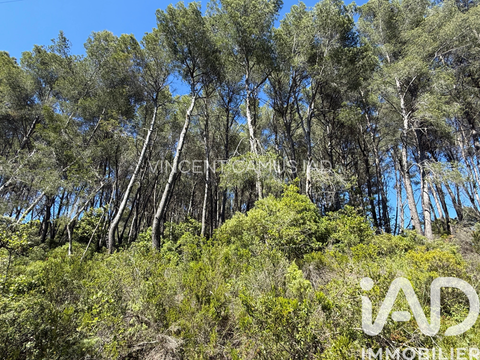 Vente de terrain