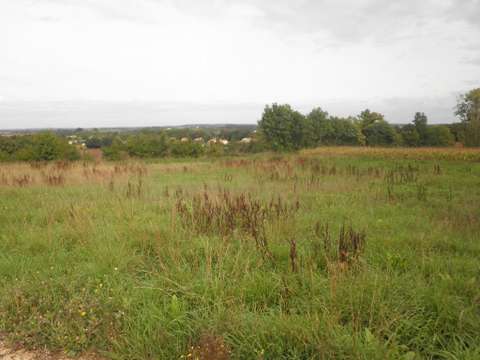 Vente de terrain La Caillère-Saint-Hilaire 85