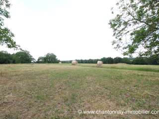 Vente de terrain