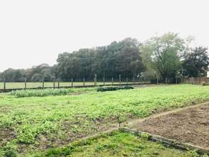 Vente Terrain 1110 m&sup2;La Chapelle-des-Marais