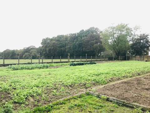 Vente de terrain La Chapelle-des-Marais 44