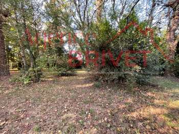 Vente de terrain La Chapelle-des-Marais 44