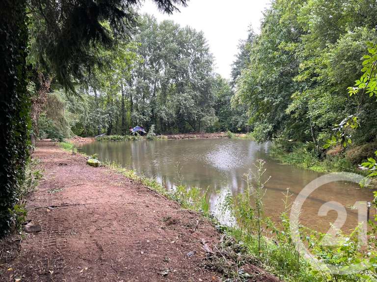 Vente de terrain