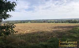 Photo Vente de terrain La Chapelle-Saint-Aubert