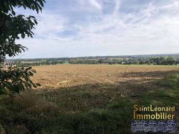 Photo Vente de terrain La Chapelle-Saint-Aubert