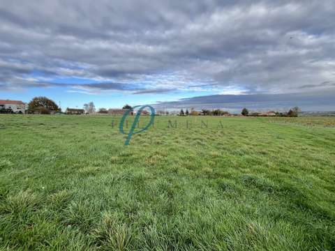 Vente de terrain La Chapelle-Saint-Florent 49