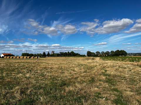 Vente de terrain La Chapelle-Saint-Florent 49