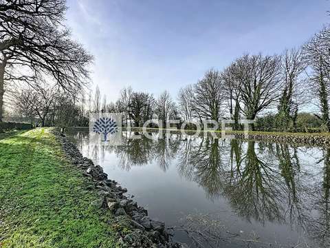 Vente de terrain