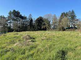 Vente Terrain 875 m&sup2;La Chapelle-sur-Erdre