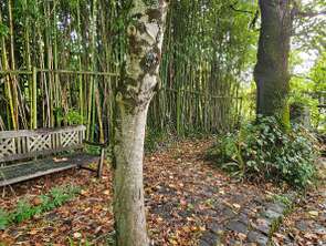 Vente Terrain 570 m&sup2;La Chapelle-sur-Erdre