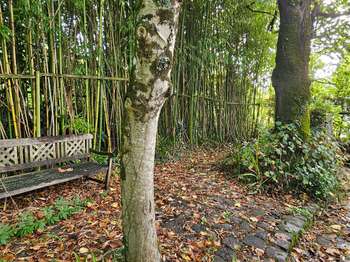 Photo Vente de terrain La Chapelle-sur-Erdre