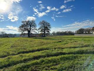 Vente de terrain