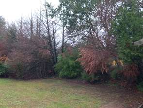 Vente Terrain 561 m&sup2;La Chevallerais