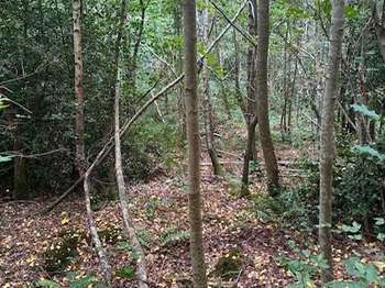 Vente Terrain 7705 m&sup2;La Croix-aux-Bois