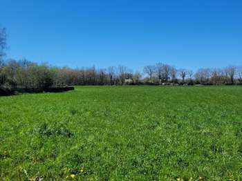 Vente Terrain 696 m&sup2;La Ferrière