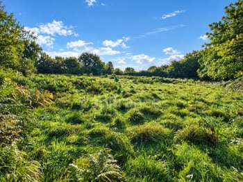Vente Terrain 4600 m&sup2;La Feuillée
