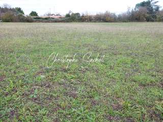 Vente de terrain