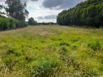 Vente de terrain La Gacilly 56