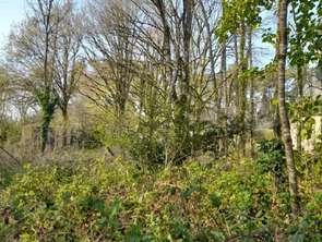 Vente Terrain 1182 m&sup2;La Gacilly