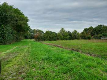 Vente de terrain La Garnache 85