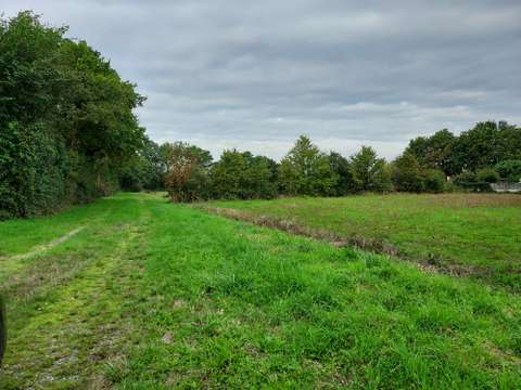 Vente de terrain La Garnache 85