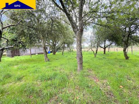 Vente de terrain La Guerche-de-Bretagne 35
