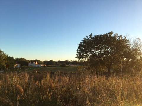 Vente de terrain La Haie-Fouassière 44