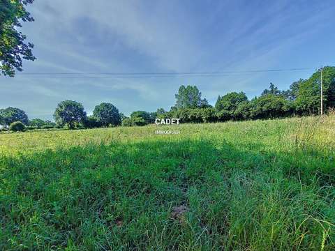 Vente de terrain
