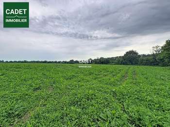 Vente Terrain 36210 m&sup2;La Haye-Pesnel