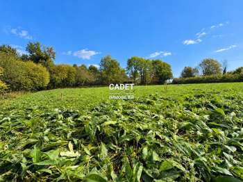 Vente de terrain