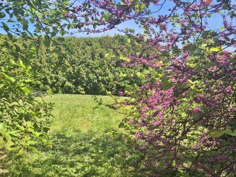 Vente de terrain La Jarrie 17